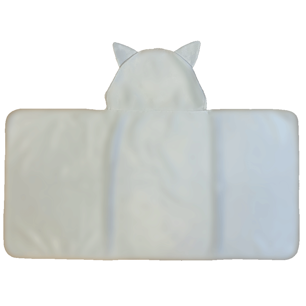 [20251128 - 20251231] Hooded Blankets