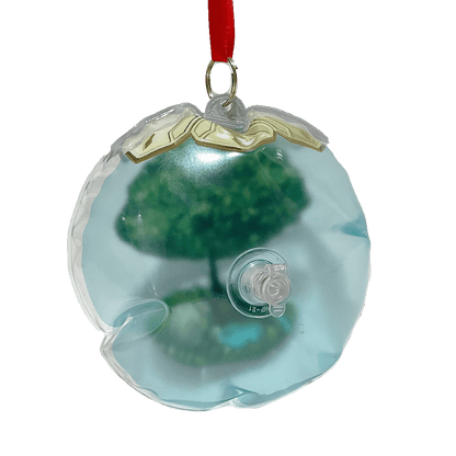 [20251128 - 20251231]  Whimsical Alchemist Inspired Mini Balloon